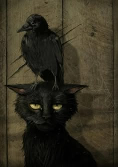 a black cat with yellow eyes and a bird sitting on top of it