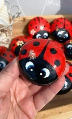 a ladybug painted on top of rocks in front of other ladybugs