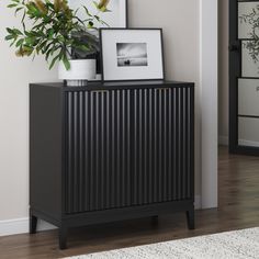 a black cabinet sitting next to a potted plant on top of a wooden floor