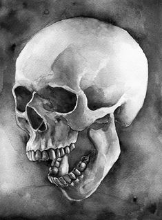 a watercolor drawing of a human skull