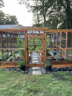 an outdoor garden area with several plants in the center and two wooden greenhouses on each side