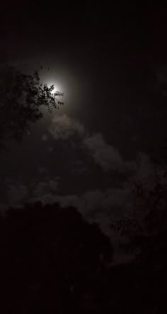 the moon shines brightly in the dark sky above some tree branches on a cloudy night