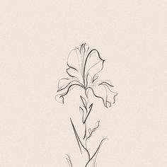 a black and white drawing of a flower