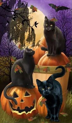 two black cats sitting on top of pumpkins