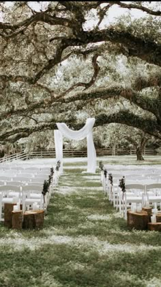 an outdoor ceremony setup with white chairs and draped draping on the tree branches