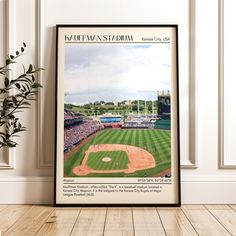 a baseball field is shown with a plant in the foreground and an image of a stadium