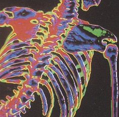 an image of a colorful skeleton on a black backgrounnd background with neon colors