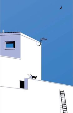 a black cat walking up the side of a building next to a ladder that is attached to a light pole