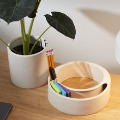 two cups with pens and pencils in them sitting on a table next to a plant