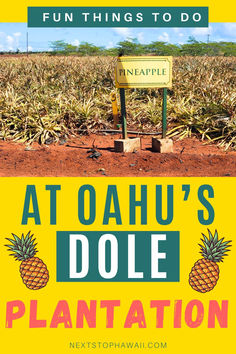 Image of a pineapple field at the Dole Plantation on Oahu Hawaii. Text reads Fun Things to Do at Oahu's Dole Plantation. Dole Whip, Hawaii Vacation, Green Mountain, Free Things To Do