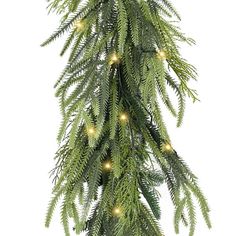 a christmas tree with lights hanging from it's branches