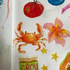 an open book with drawings and pictures of crab, apple, watermelon, starfish