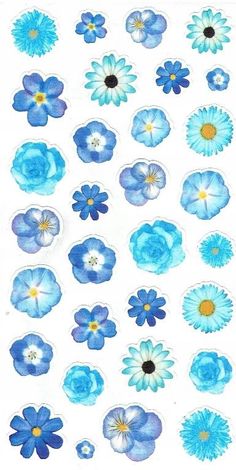 blue and white flowers are arranged in rows