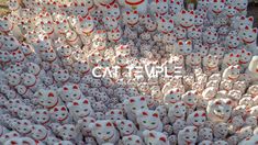 a large group of white cats with red spots on their faces and eyes are arranged in the shape of a circle