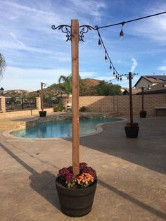 a potted plant next to a swimming pool with string lights hanging from the ceiling