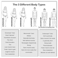 the three different body types are shown in this diagram, and there is also an image of