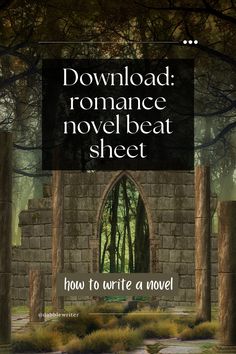 a book cover with the title'how to write a novel'and an image of a