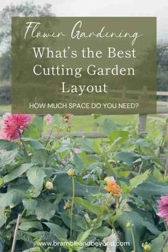 a garden with pink flowers and green leaves in the foreground text reads, flower gardening what's the best cutting garden layout how much space do you need?