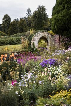 a garden filled with lots of different types of flowers and plants next to a stone arch