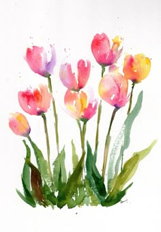 watercolor painting of pink and yellow tulips