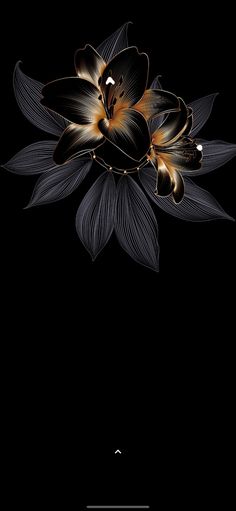 an image of a flower on a black background with the words, flowers are beautiful