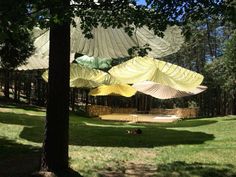 several paper umbrellas hanging from trees in the park