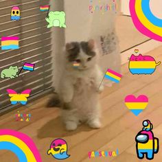 a cat standing on its hind legs in front of a wall with stickers around it