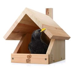 a black bird sitting in a wooden birdhouse with its head inside the box and it's yellow beak sticking out