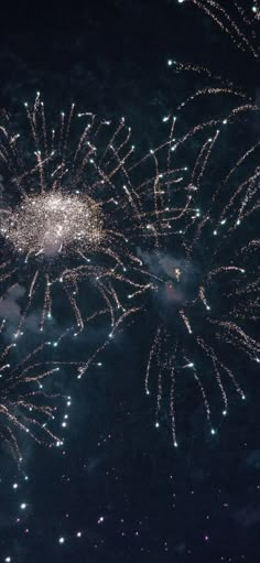 fireworks are lit up in the night sky