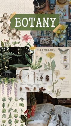 an open book with flowers and plants on it, surrounded by other images that say botany