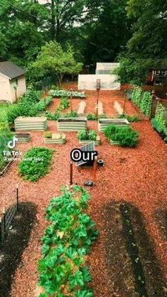 an aerial view of a vegetable garden