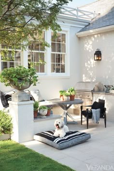 a small white dog sitting on top of a cushion in the middle of a patio