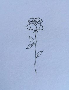 a single rose is drawn in the snow