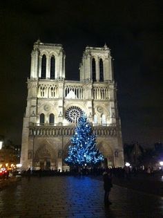 a large cathedral with a lit christmas tree in front