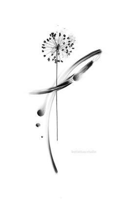 a black and white photo of a dandelion with drops of water on it