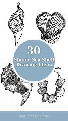 the words 30 simple sea shell drawing ideas