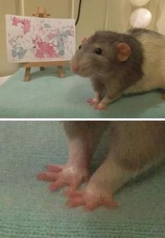 a rat sitting on top of a bed next to a painting