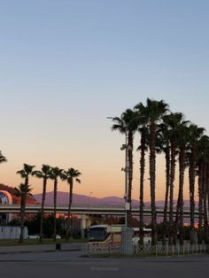 palm trees line the street in front of an airport terminal at dusk with mountains in the background