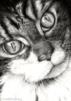 a drawing of a cat with green eyes