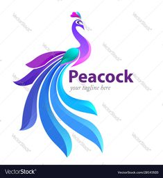 colorful peacock logo design on white background