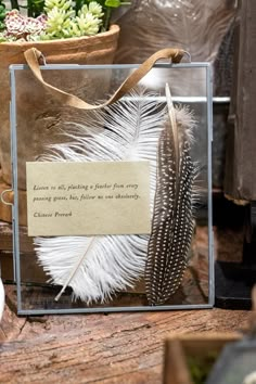 a glass box with some feathers in it and a note attached to the inside of it