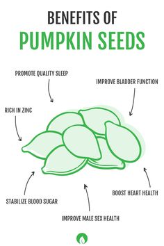 Pumpkin seeds have many benefits that you may have never thought about! Some of these benefits include promoting quality sleep, improving bladder function, and stabilizing blood sugar. Make sure to try incorporating these into your diet when you can. Benefits Of Pumpkin Seeds, Fruits Benefits, Benefits Of Pumpkin, Pumpkin Seeds Benefits, Green Superfood Powder, Soy Free Dairy Free, Seeds Benefits, Dairy Free Gluten Free, Blood Groups