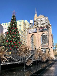 a large christmas tree in front of a building