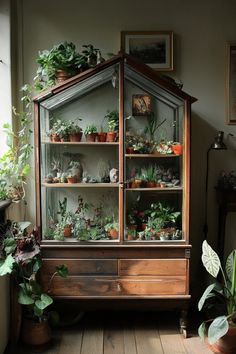 Turn an old, forgotten shelf into a charming mini greenhouse! This clever DIY project breathes new life into vintage furniture, providing a unique space for your favorite plants to thrive. Perfect for small spaces and those who love upcycled home decor with a touch of greenery. #DIYGreenhouse #UpcycledDecor #MiniGreenhouse #VintageShelf #IndoorPlants Mini Cabinet Ideas, China Cabinet Greenhouse Diy, Bookshelf And Plants, Glass Cabinet Plants, Unique Indoor Plant Displays, Glass Cabinet For Plants, Vintage Plant Decor, Mini Green House Ideas, Plant Shelf Ideas Bedroom