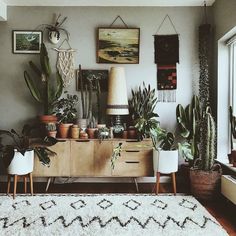 a living room filled with lots of plants on top of a wooden dresser next to a window