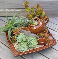 there are succulents and other plants in the tray on the wooden table