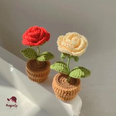 two crocheted flowers are sitting in small pots