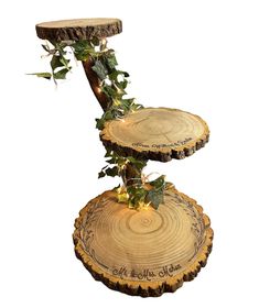 Log Slice Cake Stand, Tree Trunk Cake, Log Cake Stand, Rustic Cake Stand Wood, Rustic Cake Stand, Hp Wedding, Rustic Cake Stands, Wedding Platters, Wooden Cake Stands