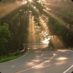 the sun shines brightly through the trees onto a winding road in front of a forest