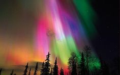 an aurora bore is seen in the night sky over some trees and snow covered ground